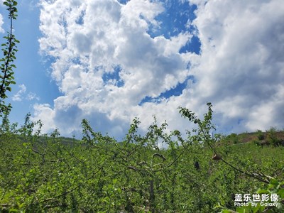 西北黃土高坡風(fēng)光