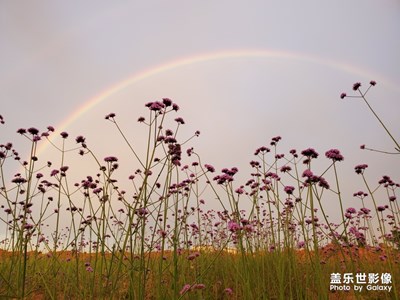 “#紅的溫度#+荒郊美景”