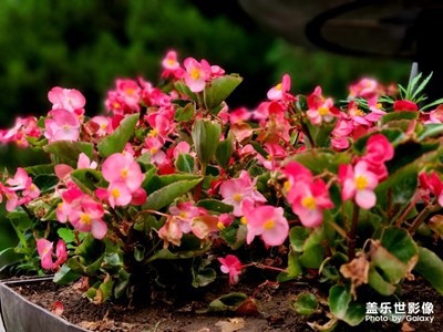 春花秋月何時了