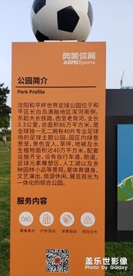 世界杯足球公園