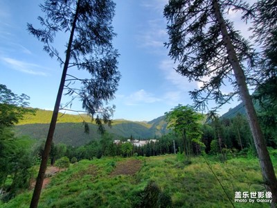 【在夏日】+山谷微涼