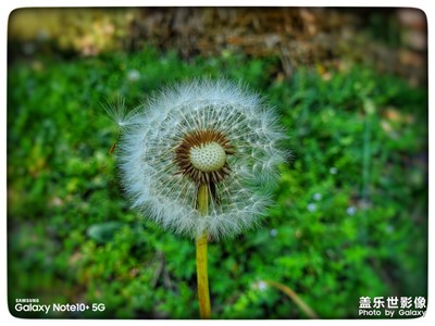 下鄉(xiāng)隨拍