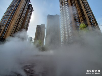 【精彩翻倍】+ 小區(qū)的美景