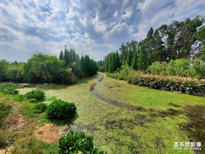 Note10＋拍攝樣張欣賞