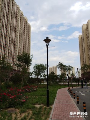 【在夏日】小區(qū)生活