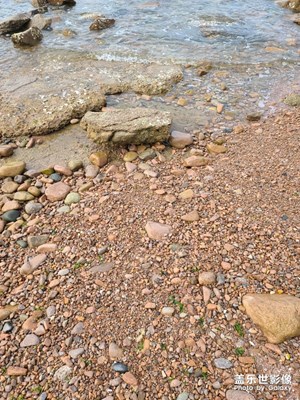 大概有多久沒去東邊走走了