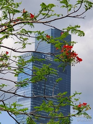 【精彩翻倍】我的10＋遠景很闊以