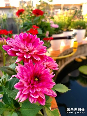 [我美麗城]+空中花園