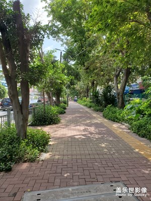 【我美麗城】+ 花園城市