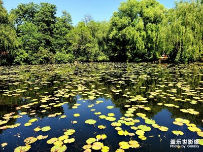 美麗鞍山二一九公園～來自三星S20ultra拍攝