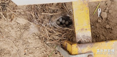 生命不止，奔騰不止