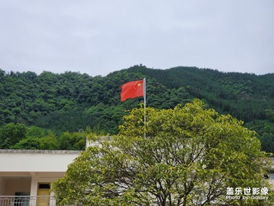 【你好，六一】+逗逗貓