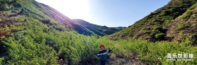 【你好,六一】+童心童舉