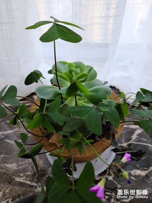 處處都是美