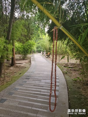 重游植物園！為愛(ài)祈福！