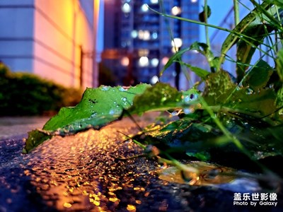 雨夜