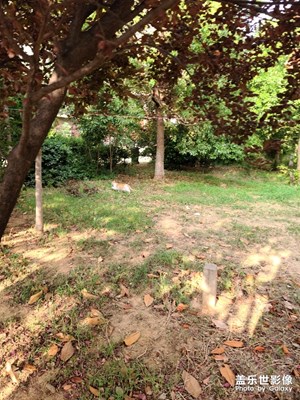 今天早上起床點擊[http://img04.sogouc