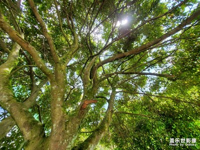 【光影生活】+光影交錯(cuò)