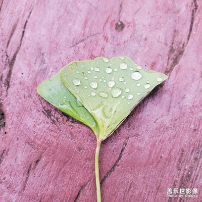 晨練過后的早餐