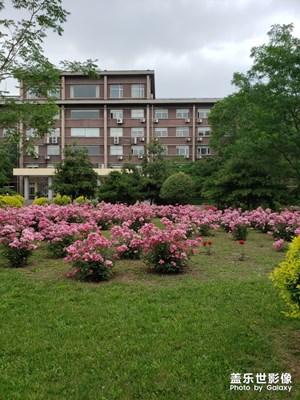 花美樓凈天藍(lán)