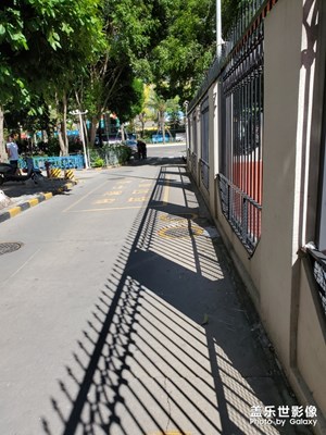 【光影生活】+ 夏日炎炎