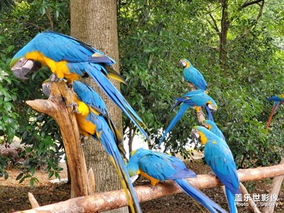 【光影生活】動物世界