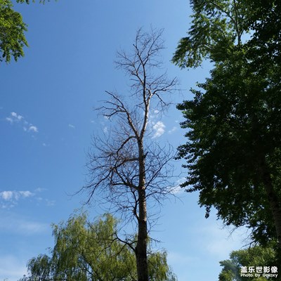 【夏日色彩】+夏日隨拍