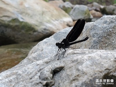 s10  第一次試鏡。