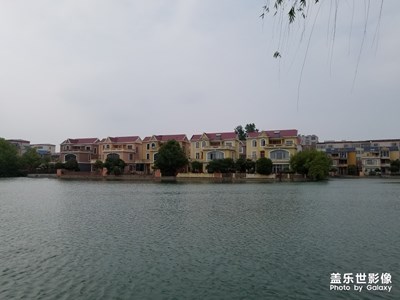 【盛夏時(shí)光】