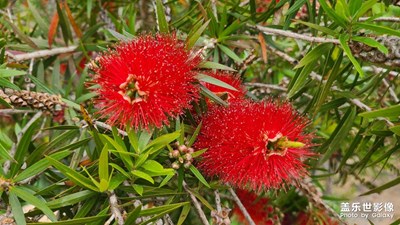 七彩云南隨Samsung