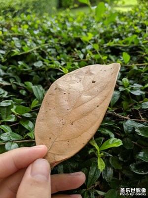 【盛夏時(shí)光】＋身邊風(fēng)景