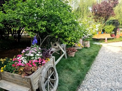 【盛夏時光】+漂亮植物園