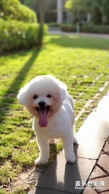 生活的記錄，note9的陪伴。