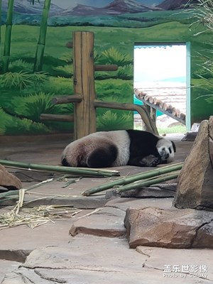 動(dòng)物園轉(zhuǎn)一轉(zhuǎn)