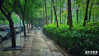 雨后風(fēng)景一張