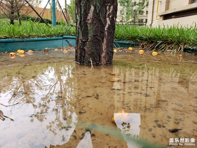 【盛夏時(shí)光】+雨后