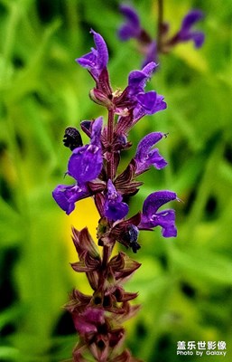 鞍山郊區(qū)隨手拍