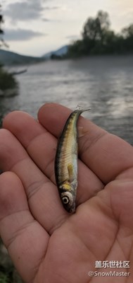 【盛夏時光】+夏意盎然