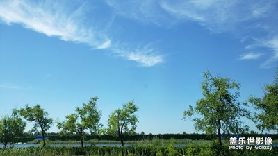 居然成了我的電腦桌面