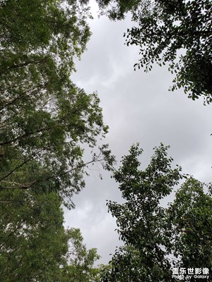 【與世界相遇】+ 陣雨