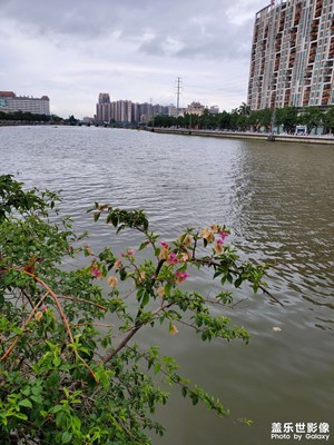 【與世界相遇】+江濱閑散