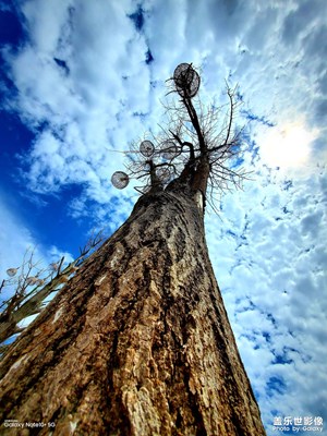 Note10＋戶外樣張