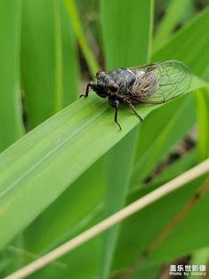 夏天該有的樣子