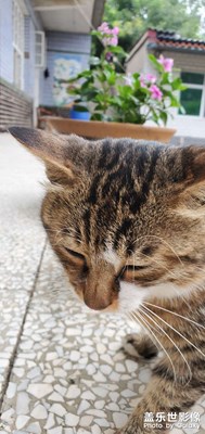 【角度與視覺(jué)】農(nóng)家小院