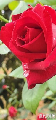 隨手拍
