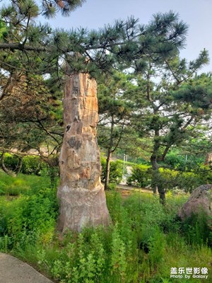 note9拍圖，我喜歡的，海邊風(fēng)情！