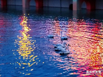 新疆庫爾勒孔雀河