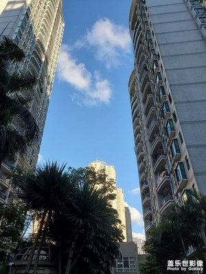 【生活志】+ 夏日晴天