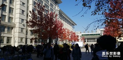 【生活志】+日日夜夜