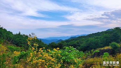 大坪山風(fēng)景（騎游小記）